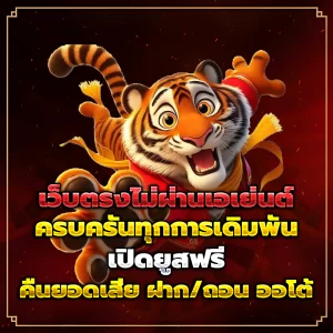 pg789 wallet แตกง่าย